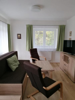 Apartmán 68 Horní Lipová, Lipova Lazne